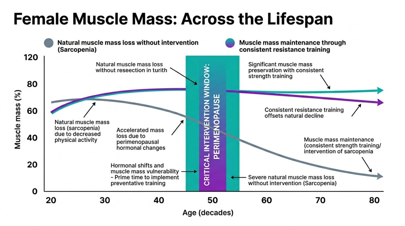 Why You Should Lift Weights: The Evidence-Based Guide for Women Who Want Real Results